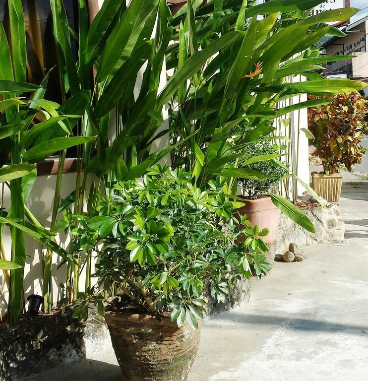 Pousada Naus De Paraty Ngoại thất bức ảnh